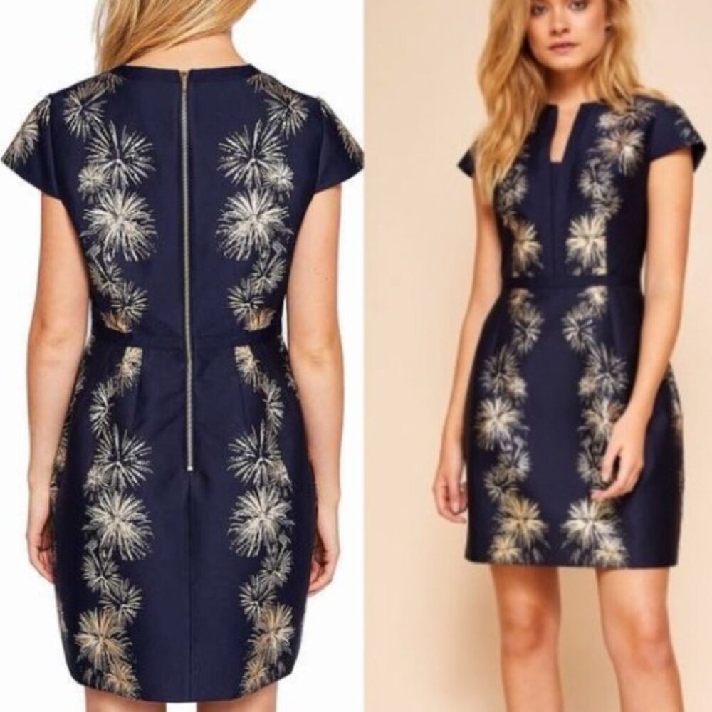 T E D B A K E R : “Tzalla” Fireworks Party Dress, size 2